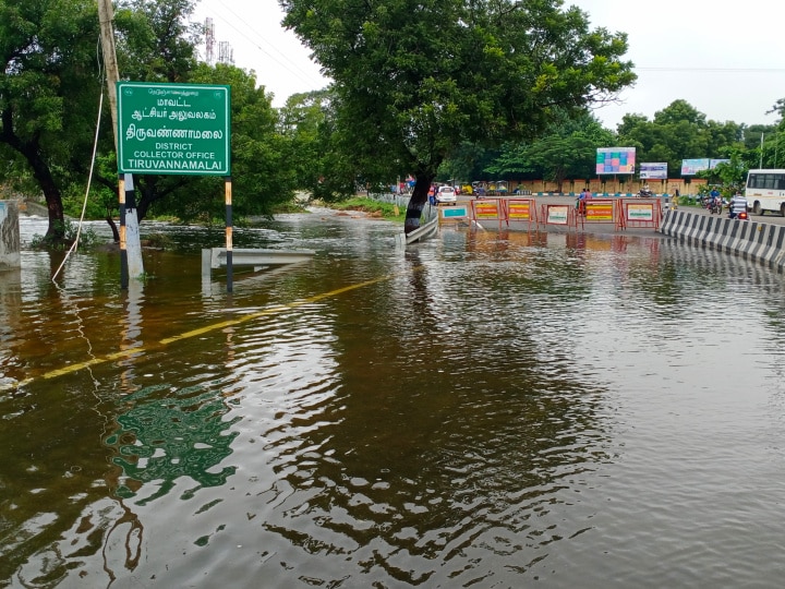 திருவண்ணாமலையில் 10,000 ஏக்கர் நெற்பயிர்கள் நீரில் மூழ்கின