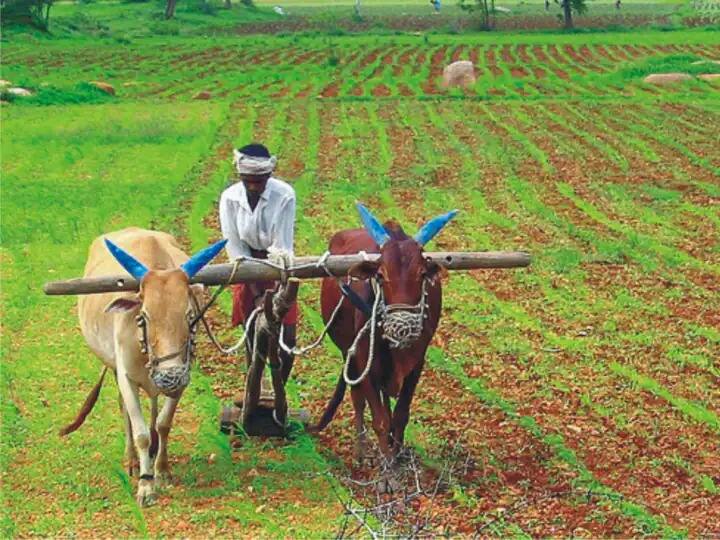 pm kisan yojana PM kisan Maandhan Pension Scheme farmers will get 5k rupees under this scheme instead of 2k know about it PM Kisan : शेतकऱ्यांच्या खात्यात आता 2000 ऐवजी 5000 रुपये येणार, मिळणार अतिरिक्त फायदा