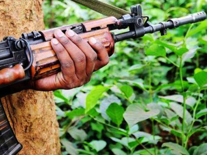 26 Maoists Killed In Encounter In Maharashtra's Gadchiroli Forest Maharashtra: గడ్చిరోలి అటవీ ప్రాంతంలో ఎదురు కాల్పులు.. 26 మంది మావోయిస్టులు మృతి