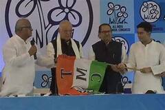 Luizinho Faleiro: তৃণমূলের রাজ্যসভার প্রার্থী লুইজিনহো ফালেইরো। Bangla News