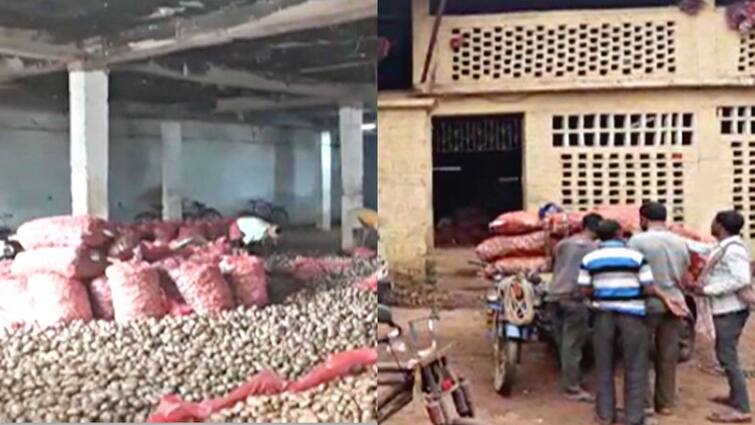 West Bengal potato price hike new guidelines stored vegetables should release timeline Potato Price Hike: আলুর দামে রাশ টানতে বড় সিদ্ধান্ত রাজ্যের, হিমঘরে মজুত আলু ফাঁকা করার নির্দেশ