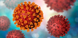 Coronavirus: કોરોના વાયરસ વધારી રહ્યો છે મૃત શિશુ પેદા થવાનો અને ગર્ભપાતનો ખતરોઃ રિસર્સ