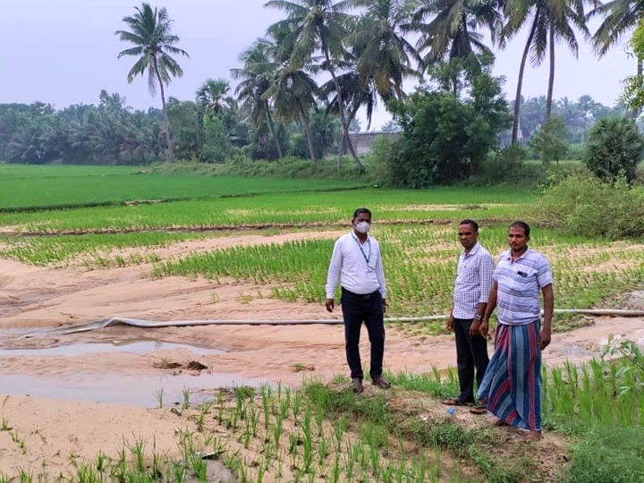 ABP IMPACT | விழுப்புரத்தில் வெள்ளத்தில் மூழ்கிய பயிர்கள் குறித்து அதிகாரிகள் நேரில் ஆய்வு!