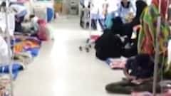 પંચમહાલઃ જિલ્લામાં મચ્છરજન્ય રોગચાળો વકર્યો, હોસ્પિટલો દર્દીઓથી થઈ ફુલ; જુઓ ગુજરાતી ન્યૂઝ