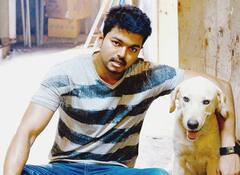 9 Years of Thuppaki: ப்ளாக்பஸ்டர் ஹிட் துப்பாக்கி - தெரிந்ததும் தெரியாததும்