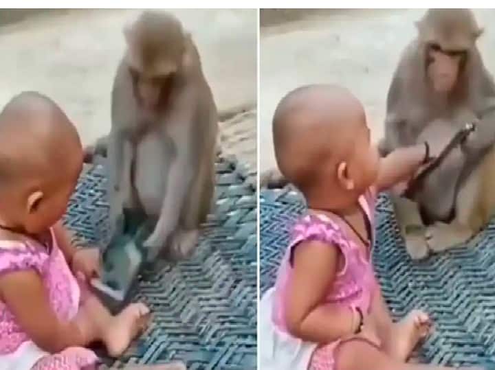 Viral video: Monkey and toddler snatch mobile phone from each other, uproarious video goes viral Watch Video | செல்ஃபோனுக்காக க்யூட் சண்டை : குழந்தையும், க்யூட் குரங்கும் செய்த சேட்டை..