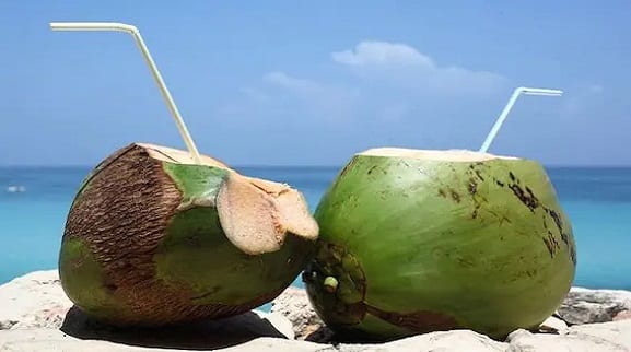 Coconut Water Benefits In Covid-19 Coconut Water Good For Heart Coconut Water Benefit For Stomach Coconut Water For Health: ब्लड प्रेशर के मरीज को रोज पीना चाहिए नारियल पानी, हार्ट और इम्यूनिटी बनेगी मजबूत
