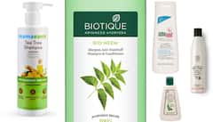 Amazon Offer: सर्दियों में डेंड्रफ से हैं परेशान, इन शैम्पू से Dandruff और सिर की खुजली को कहें बाय बाय