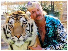 Special Ops 1.5 के अलावा इन सीरीज़ के आ रहे हैं नए सीज़न, इस नवंबर मिलेगा एंटरटेनमेंट का डबल डोज़