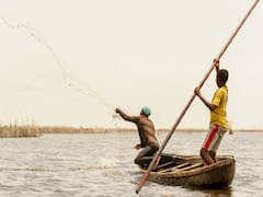 Pakistan News: चार साल की सजा के बाद पाकिस्तान की जेल से रिहा हुए 20 भारतीय मछुआरे, सोमवार को होगी वतन वापसी