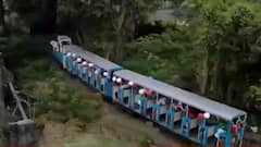 Children's Day Special: Toy Train being used to treat children suffering from cancer