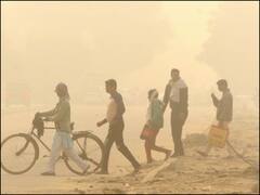 Pollution का असर, दिल्ली के बाद हरियाणा के इन ज़िलों में स्कूल बंद, निर्माण कार्य पर भी लगी रोक