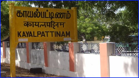 காயல்பட்டினம் நகராட்சி வார்டுகளை 40ஆக உயர்த்த கோரிய வழக்கு -  தூத்துக்குடி ஆட்சியர் பதிலளிக்க உத்தரவு