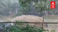 Rain Maharashtra : राज्यात पुढील 4 ते 4 दिवस कडकडाटासह मुसळधार पावसाचा अंदाज...