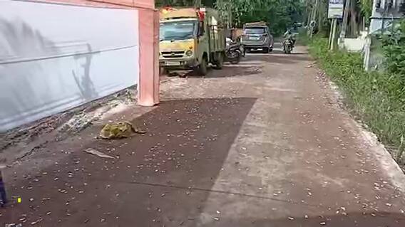 West Godavari : పెళ్లి కోసం రోడ్డు వేశారు.. ఇప్పుడు ఇదే పశ్చిమగోదావరి జిల్లాలో హాట్ టాపిక్