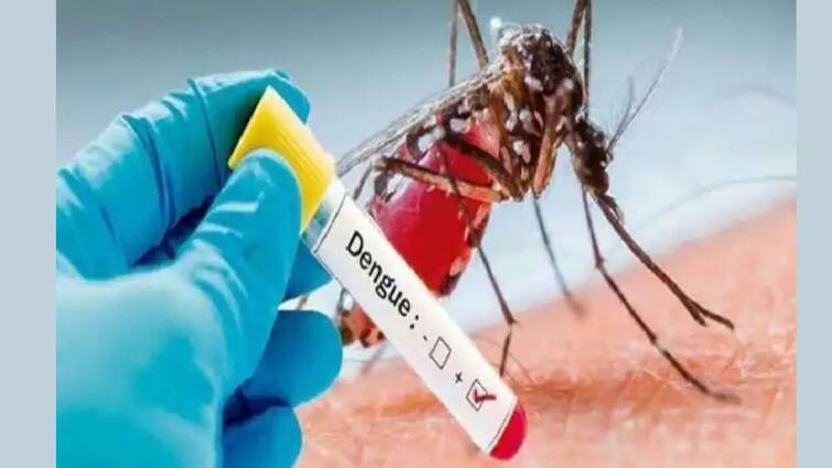 Dengue Alert: Early Signs, Tests And Treatment, know in details Dengue Alert: কোন লক্ষণ দেখে বুঝবেন ডেঙ্গি হয়েছে? কীভাবেই বা চিকিৎসা করবেন?