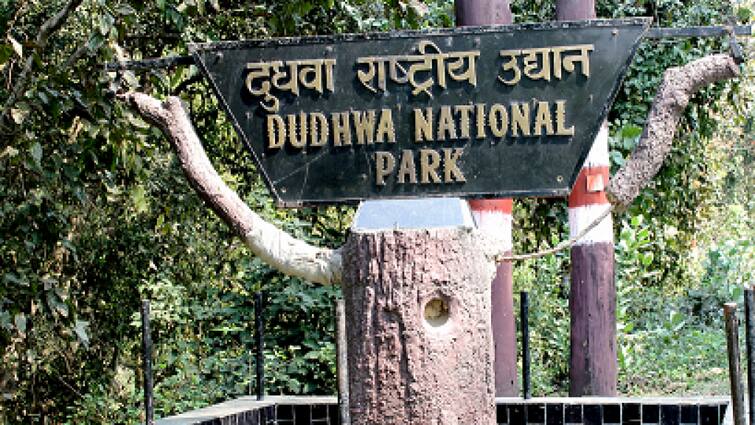 The famous Dudhwa National Park of Lakhimpur Kheri will open for tourists in Uttar Pradesh from today Dudhwa National Park: आज से खुल जाएगा दुधवा नेशनल पार्क, जानिए घूमने जाने के लिए क्या करना होगा