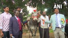 1 Crore Bull:বেঙ্গালুরুর কৃষি মেলায় আকর্ষণ এই বলদ, দাম উঠল ১ কোটি টাকা!