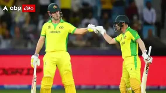 David Warner : వార్నర్ భీకర ఫామ్ చూసి హైదరాబాద్ ను ఉతికేసిన నెటిజెన్స్