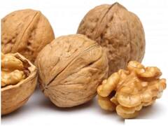 Health Care Tips: रोज अखरोट खाने से याददाश्त होगी तेज, जानें इसे खाने के फायदे