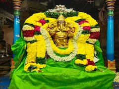 திருவண்ணாமலை தீபத்திருவிழா : 6-ஆம் நாள் உற்சவம்.. பவனி படங்கள்..