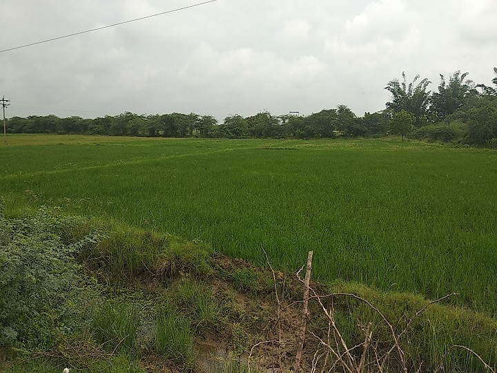 திரும்ப பெறப்பட்ட நாகை பெட்ரோ கெமிக்கல் மண்டலம் - தமிழக அரசுக்கு டெல்டா விவசாயிகள் நன்றி