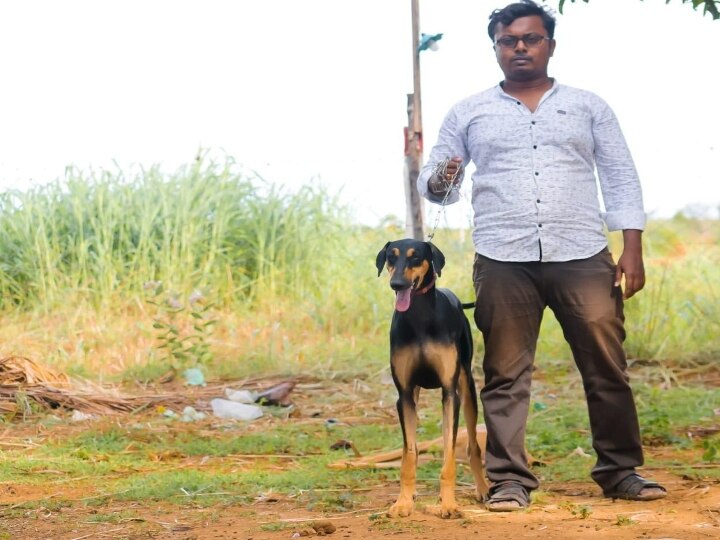 Vettai Thunaivan - 20 | ’கன்னி, சிப்பிப்பாறை’ வேட்டை நாய்களும், அதன் நிறங்களும்..!