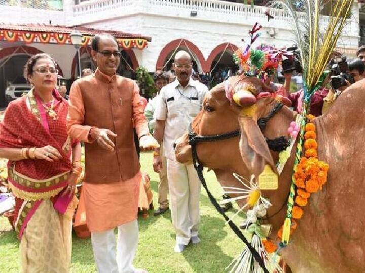 Madhya Pradesh government planning to purchase cow dung for making fertilisers, other products, says CM Chouhan Madhya Pradesh | நீங்க மனிதருக்கு 108 தந்தா... நாங்க மாட்டுக்கு 109 தருவோம்... மபி அரசின் அடடே திட்டம்!