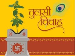 Tulsi Vivah 2021: तुलसी विवाह आज, इस खास दिन जानें क्यों रचाई जाती है शालीग्राम के साथ तुलसी जी की शादी