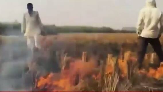 Need an action plan by tomorrow: SC directs Centre, states on air pollution | ICH(15.11.2021)