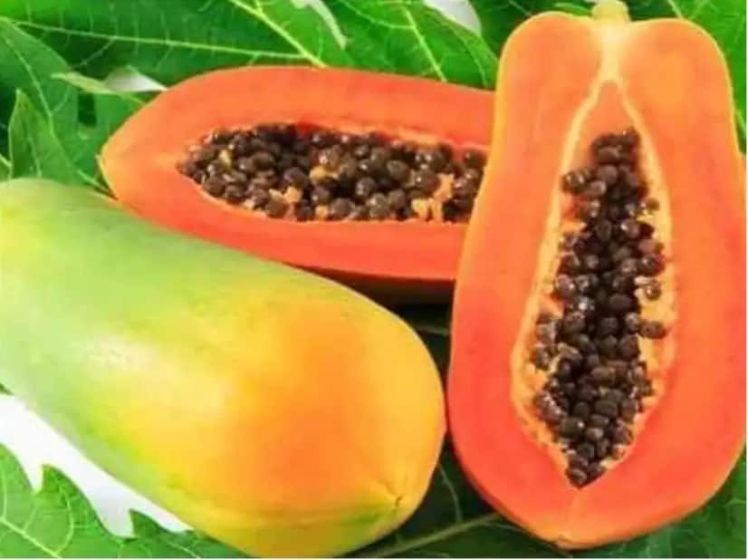 Health Care Tips: Learn the benefits of papaya seeds Health Care Tips : Papaya च्या बिया ठरतात फायदेशीर, जाणून घ्या फायदे