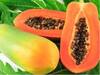Health Care Tips : Papaya च्या बिया ठरतात फायदेशीर, जाणून घ्या फायदे