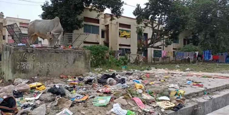 east midnapore Scrub Typhus attacked affected one health worker Scrub Typhus: মাকরের কামড়ে ভয়ঙ্কর অসুস্থ স্বাস্থ্যকর্মী, হলদিয়ায় হানা দিল স্ক্রাব টাইফাস