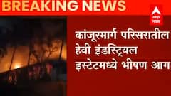 Kanjurmarg Fire : मुंबईच्या कांजूरमार्गमध्ये भीषण आग, अग्निशमन दलाच्या 12 गाड्या घटनास्थळी
