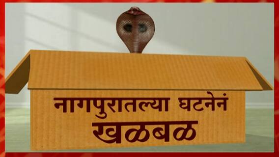Nagpur Cobra Parcel : कुरियर बॉक्समधुन निघाला कोब्रा! नागपुरातील धक्कादायक घटना !
