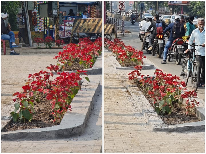 MP News: Car-riding women stole flower plants on the pavement in Jabalpur, video went viral ANN MP News: जबलपुर में कार सवार महिलाओं ने चुराए फुटपाथ पर लगे पौधे, वीडियो वायरल