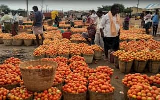 When Tomato Price Fall: 100 રૂપિયે કિલો મળતા ટામેટા ક્યારે સસ્તા થશે ? સરકારે આપ્યો આ જવાબ....
