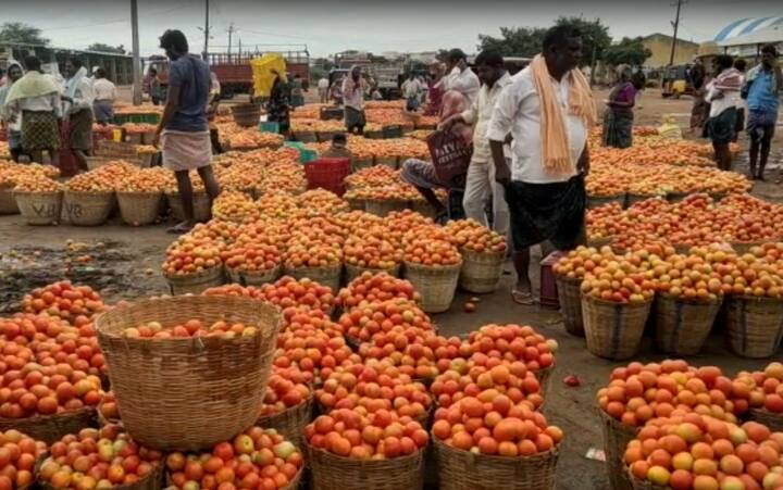 Hike in Vegetable price in Southerner part of india Retail Tomato Prices: देश के अधिकांश शहरों में टमाटर के दाम आसमान पर, दक्षिण के कई राज्यों में बिक रहा है 120 रुपये किलो