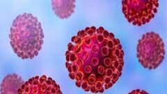 Bengal Corona Update: রাজ্যে একদিনে করোনা আক্রান্ত ৮১৯, মৃত ১৪ | Bangla News