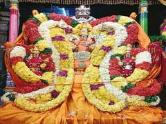 திருவண்ணாமலை தீபத் திருவிழா : ஏழாம் நாள் காலை உற்சவம்..