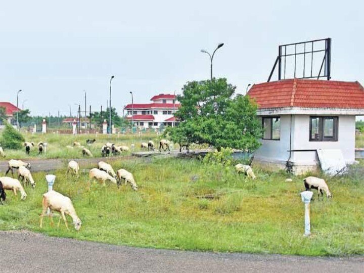 கிடப்பில் போடப்பட்டுள்ள சிவகங்கை நறுமணப்பூங்கா - மத்திய, மாநில அரசுகள் பதிலளிக்க உத்தரவு