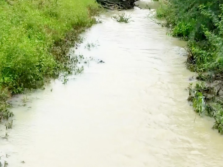 ராமநாதபுரத்தில் இழப்பீடு தராத காப்பீடு நிறுவனங்கள் மீது வழக்கு தொடர விவசாயிகள் முடிவு