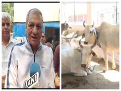 UP News: यूपी में अब गायों के लिए सिर्फ एक फोन पर पहुंच जाएगी एंबुलेंस, केंद्र ने सरकार को दिया पैसा