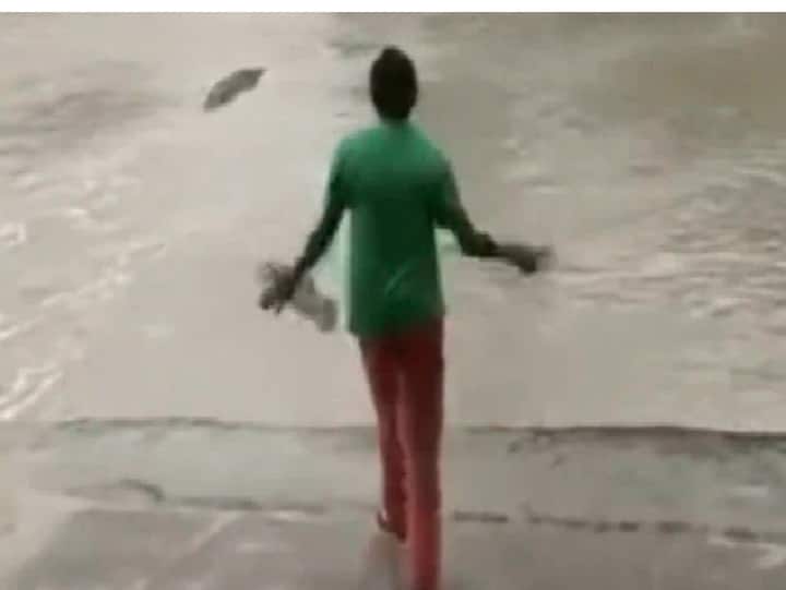 Watch Video | புலியை முறத்தில் விரட்டினாங்க.. இங்க பாருங்க செருப்பாலேயே முதலையை விரட்டியிருக்காங்க..! Viral Video: Woman Scares Off Crocodile With Her Slippers Watch Video | புலியை முறத்தில் விரட்டினாங்க.. இங்க பாருங்க செருப்பாலேயே முதலையை விரட்டியிருக்காங்க..!