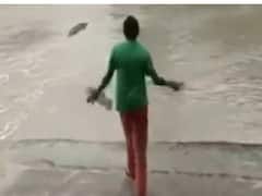 Watch Video | புலியை முறத்தில் விரட்டினாங்க.. இங்க பாருங்க செருப்பாலேயே முதலையை விரட்டியிருக்காங்க..!