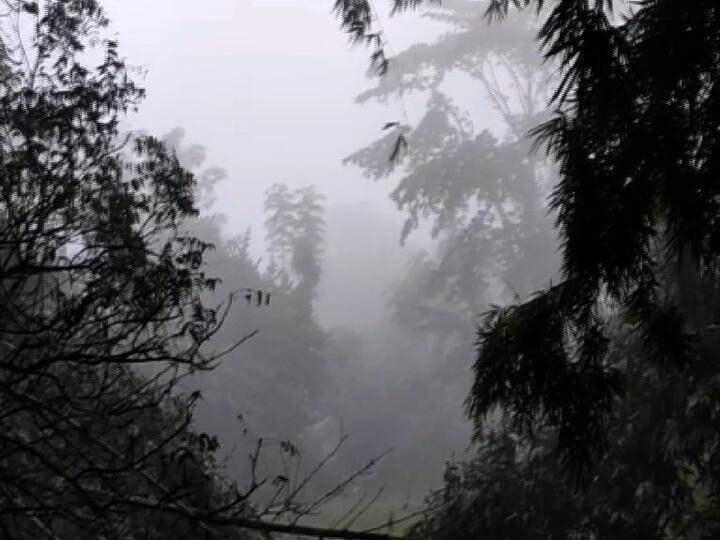 শীতের শুরুতেই কুয়াশার দাপট। জেলায় জেলায় একই ছবি।