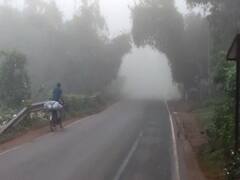 Weather Update : শীত পড়তে না পড়তেই কুয়াশার চাদরে মুড়ি দিল বাংলা, দেখুন নানা প্রান্তের ছবি