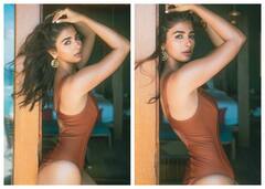 Pooja Hegde: అంత రేటా? పూజా హెగ్డే బికినీ రేటు యమా ఘాటు!