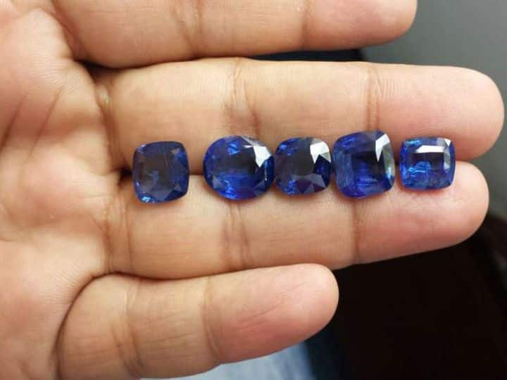 gemology neelam ratan benefits know these people can wear blue sapphire Gemology: इस रत्न को पहनने से बदल सकती है आपकी भी किस्मत, सिर्फ इन राशि के लोगों के लिए ही होता है फायदेमंद