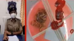 અમદાવાદ: ધંધુકામાં લૂંટનું તરકટ રચનારા પોલીસના સકંજામાં, જુઓ ગુજરાતી ન્યુઝ